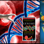 Genom: Kitab Hidup Berisi Cetak Biru Makhluk Hidup